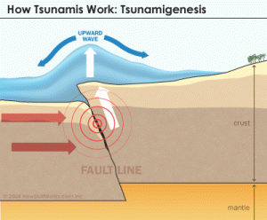 Terremotos Tsunamis