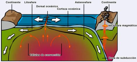 Diagrama que muestra la formación de una dorsal oceánica