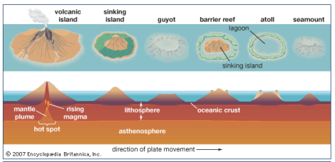 Diagrama que muestra las diferentes formas de relieve de la topografía marina